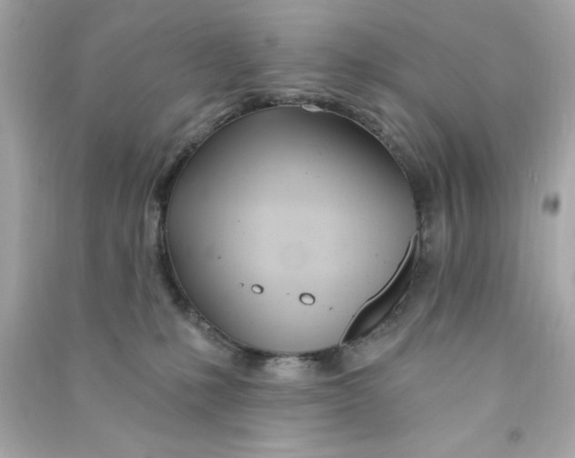 X0000090480231200708102204