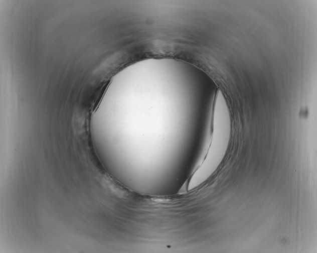 X0000090480233200708102204