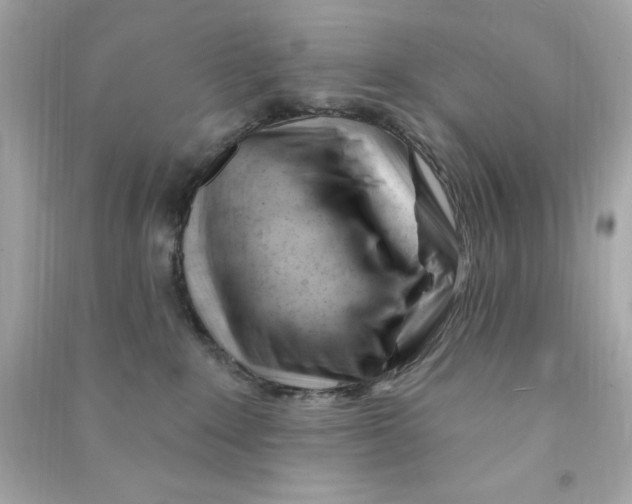 X0000090480235200708102204