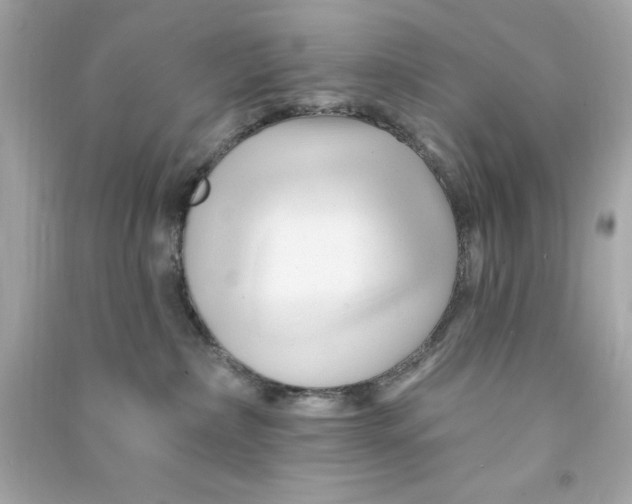 X0000090480236200708102204
