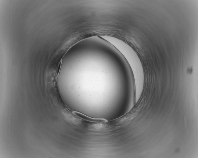 X0000090480237200708102204
