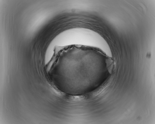 X0000090480239200708102204