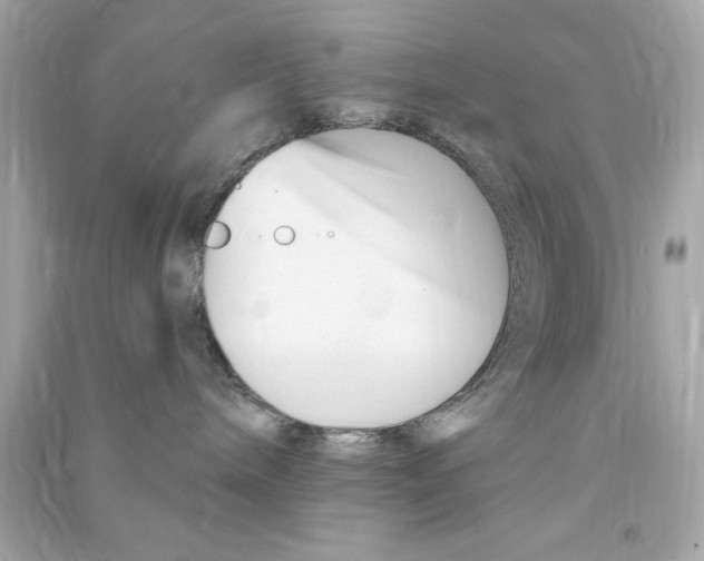 X0000090480240200708102204
