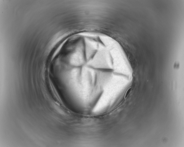 X0000090480242200708102203