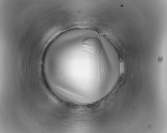 X0000090480243200708102203