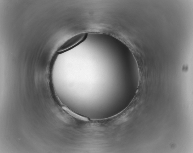X0000090480244200708102203