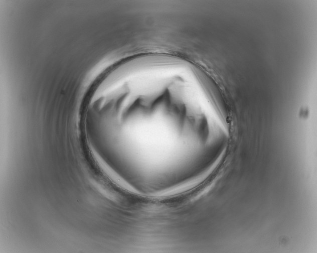 X0000090480246200708102203
