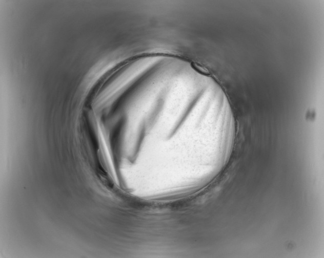 X0000090480247200708102203