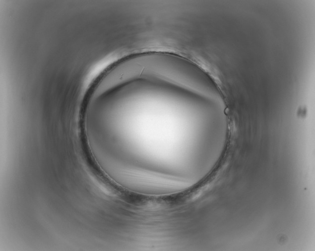 X0000090480248200708102203