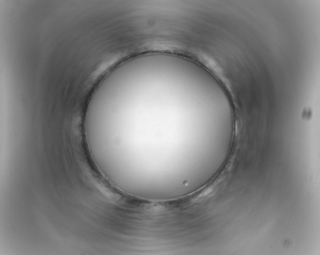 X0000090480249200708102203