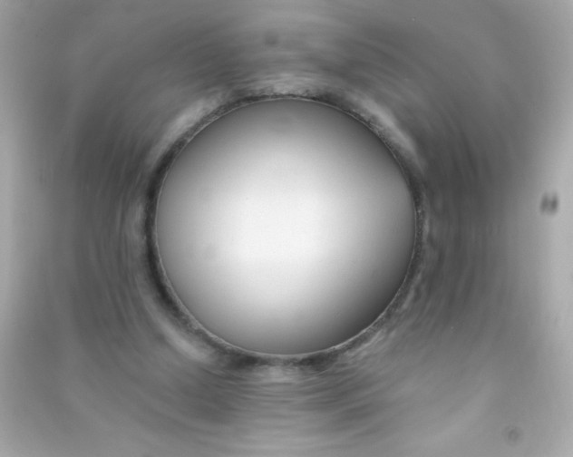 X0000090480250200708102203