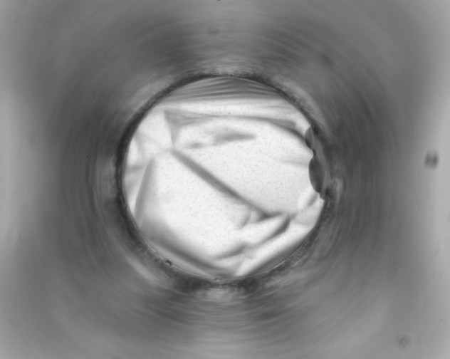 X0000090480251200708102203