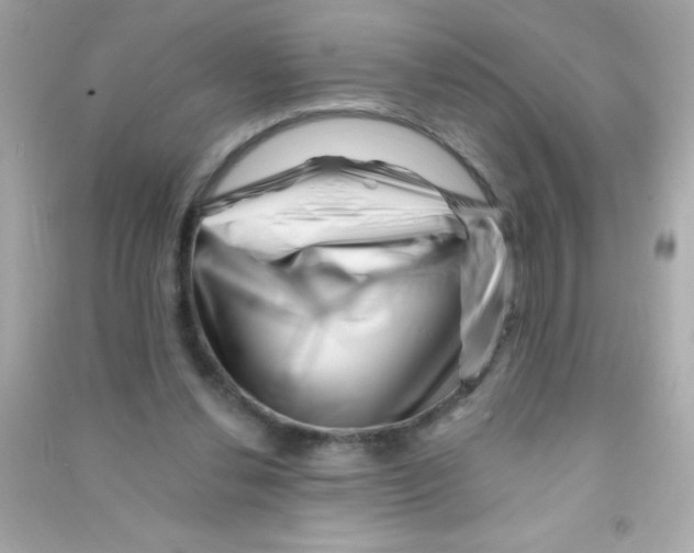 X0000090480252200708102203