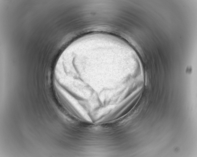 X0000090480253200708102203