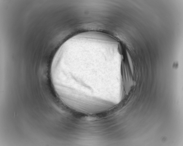 X0000090480255200708102203