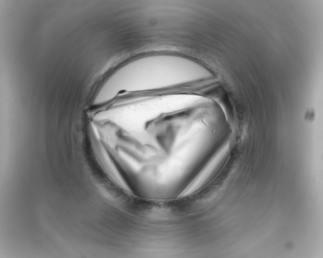 X0000090480256200708102203