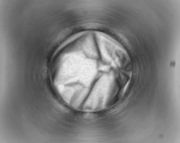 X0000090480261200708102203