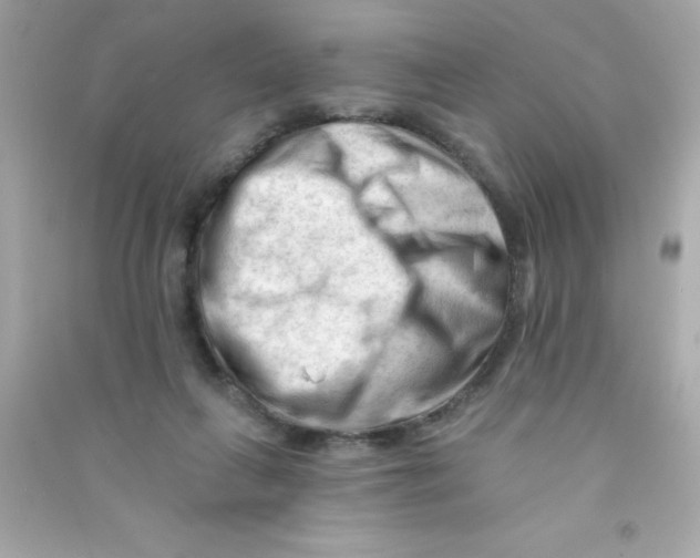 X0000090480263200708102203