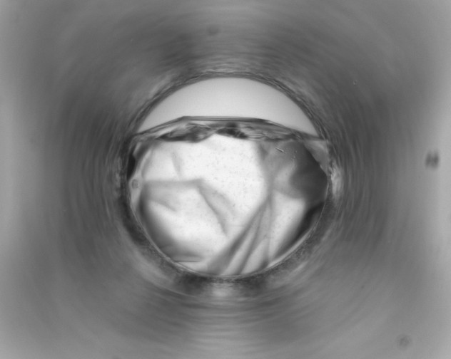 X0000090480264200708102203