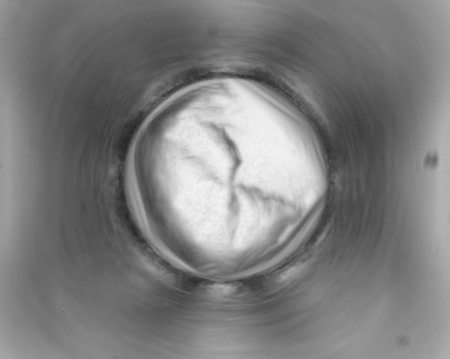 X0000090480265200708102203