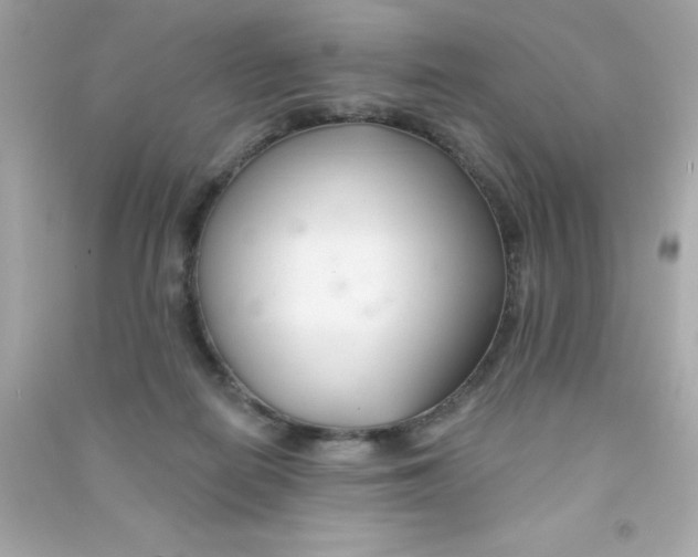 X0000090480266200708102203