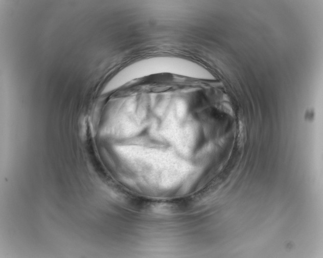 X0000090480268200708102203