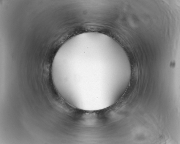 X0000090480271200708102203