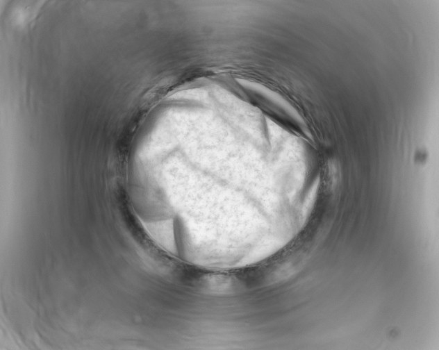X0000090480272200708102203