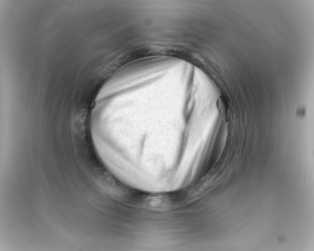 X0000090480275200708102203