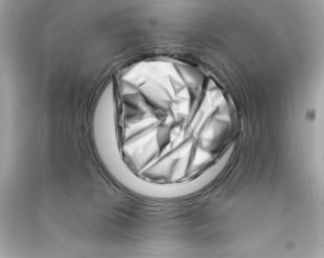 X0000090480276200708102203