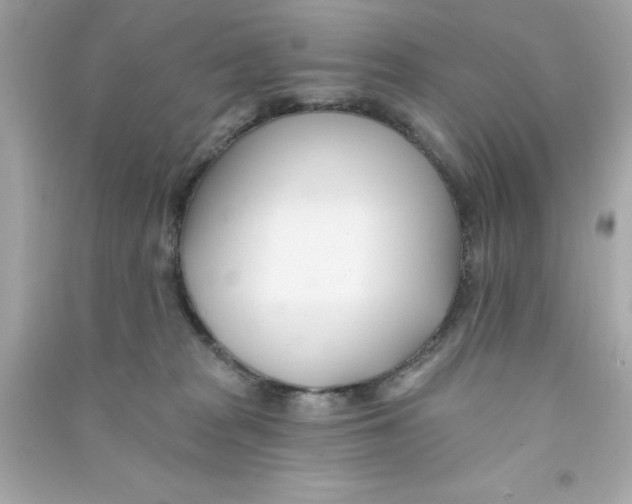 X0000090480277200708102203
