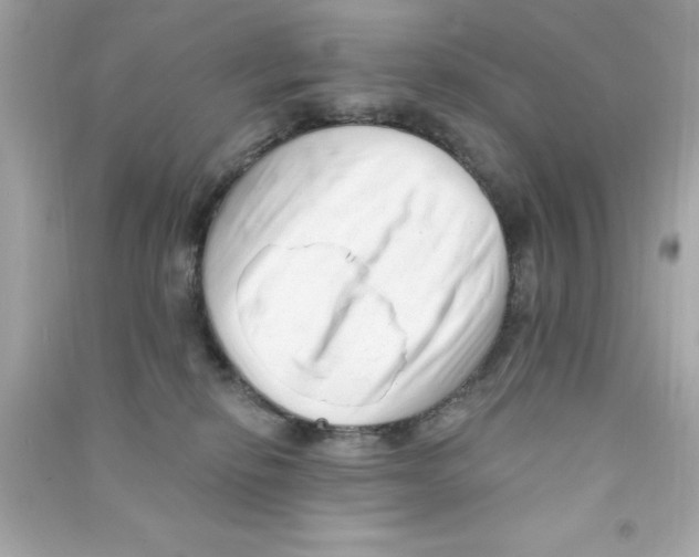 X0000090480278200708102203