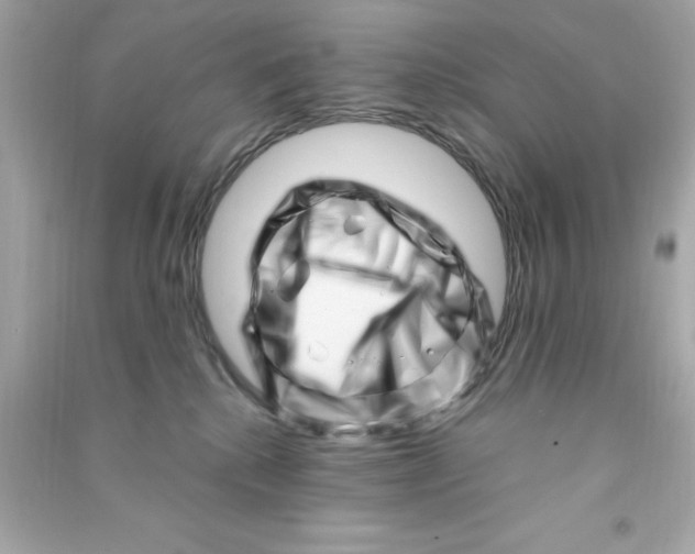 X0000090480280200708102203