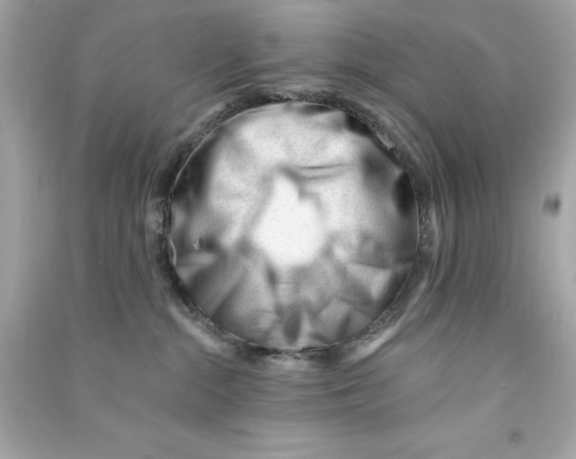 X0000090480284200708102203