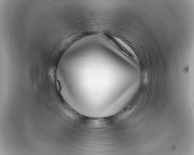 X0000090480286200708102203