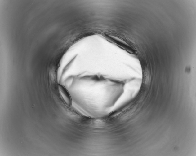X0000090480287200708102204