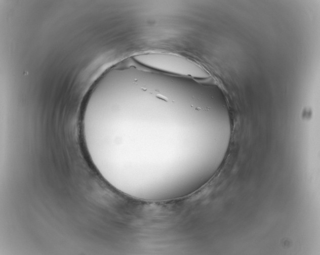X0000090480290200708102203