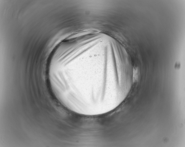 X0000090480291200708102203
