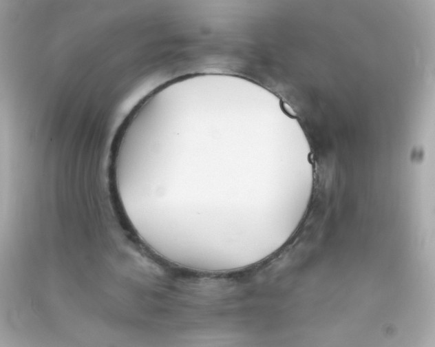 X0000090480292200708102203