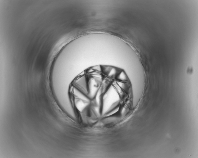 X0000090480293200708102203