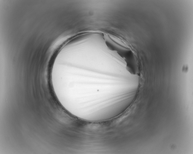 X0000090480294200708102203