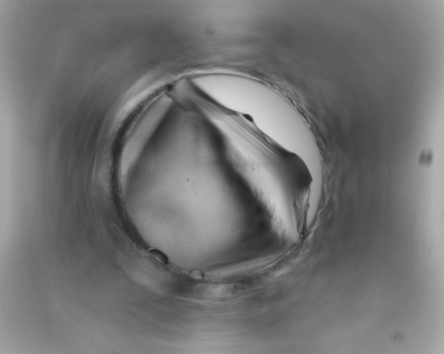 X0000090480295200708102203