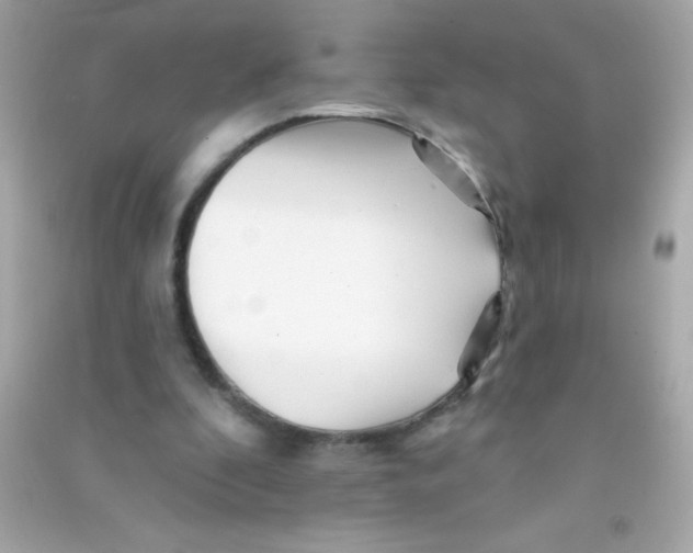 X0000090480296200708102203