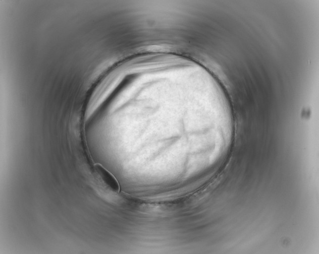 X0000090480297200708102203