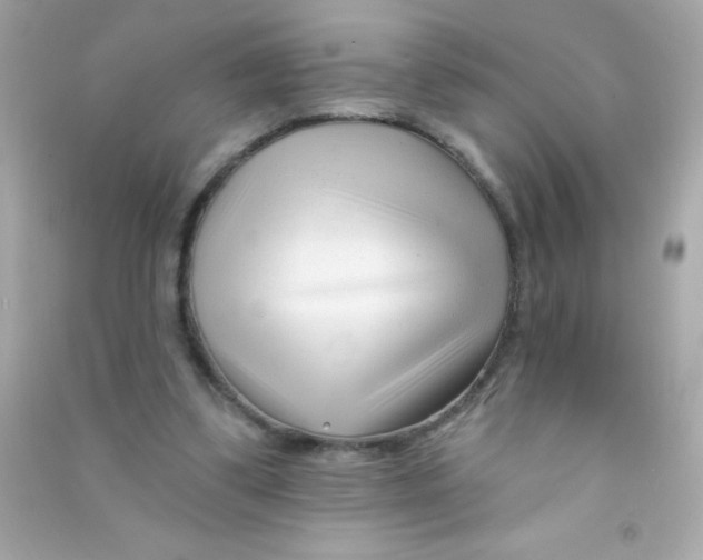 X0000090480299200708102203