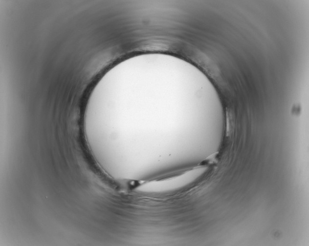 X0000090480300200708102203