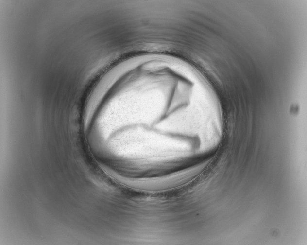 X0000090480303200708102203