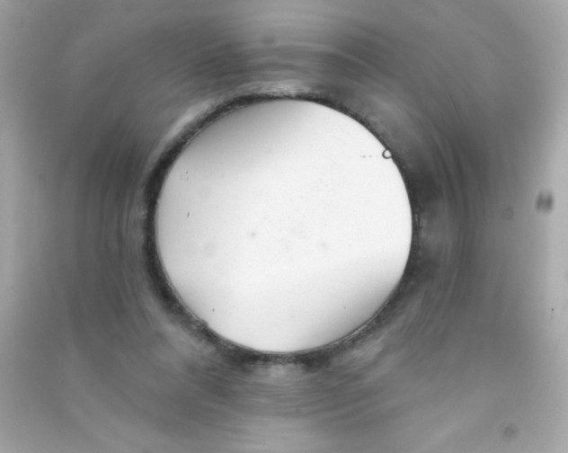 X0000090480304200708102203