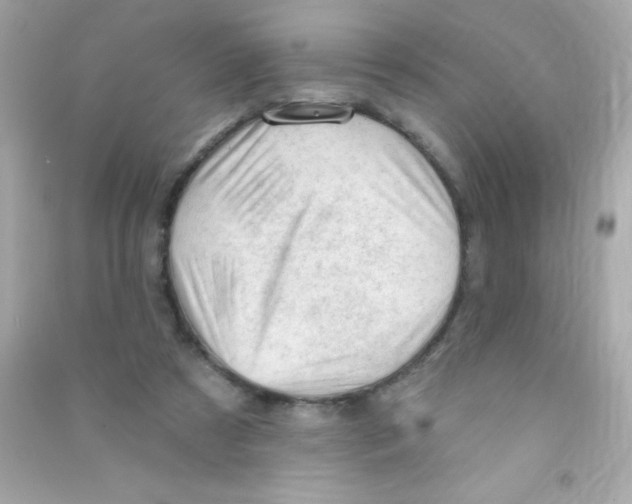 X0000090480305200708102203