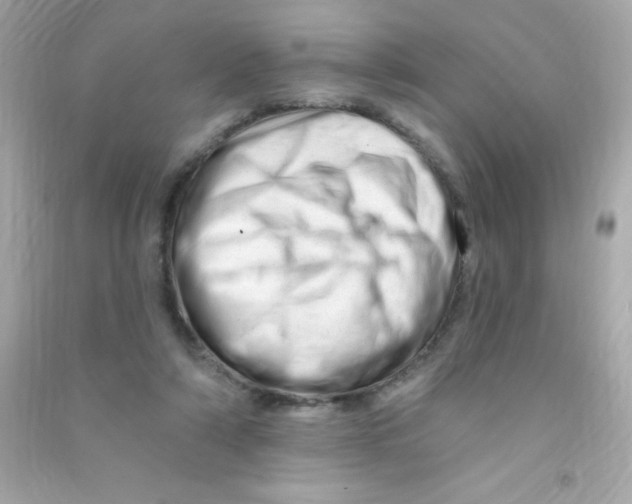 X0000090480306200708102203